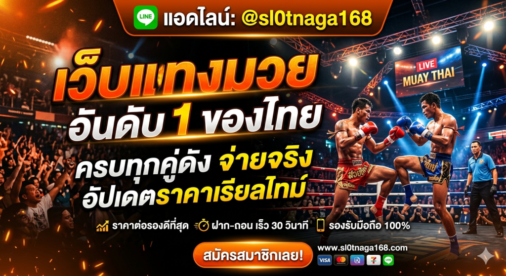 Muayone เว็บมวยออนไลน์คุณภาพ ติดตามมวยไทย มวยสากล และผลการแข่งขัน ครบทุกเวทีดัง