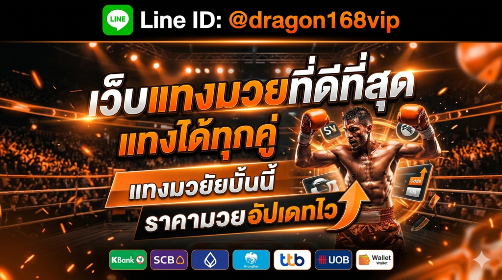 MuayOne ศูนย์รวมข้อมูลมวยครบครัน ติดตามคู่เอกและรายการดังได้ในที่เดียว