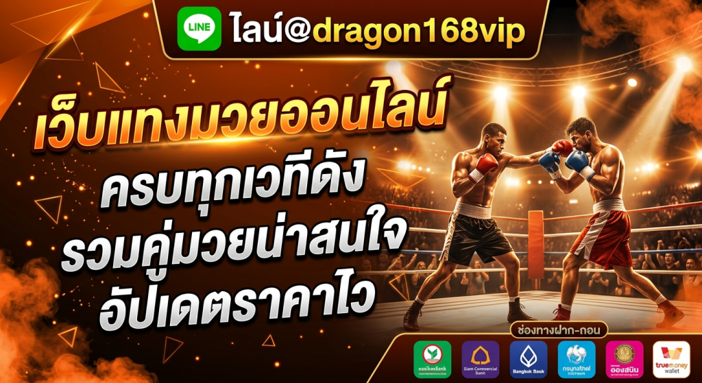 MuayOne เว็บมวยออนไลน์ครบวงจร รวมข่าวสาร โปรแกรมชก และข้อมูลนักมวยจากเวทีดัง