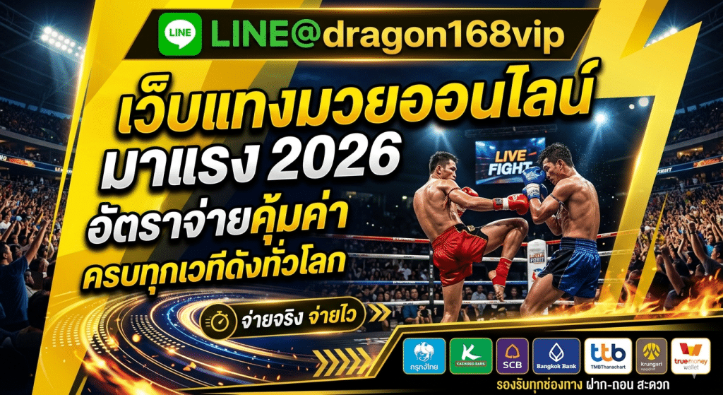 MUAYONE เว็บมวยออนไลน์ครบวงจร อัปเดตคู่ชกสด ฟอร์มมวยครบ ติดตามง่ายทุกเวที