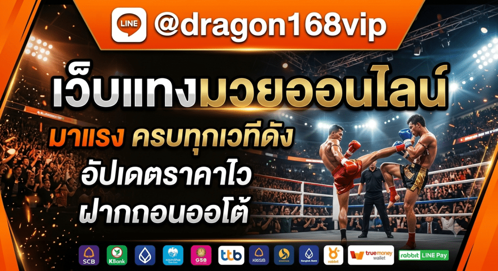 เว็บแทงมวยออนไลน์ครบทุกเวทีดัง อัปเดตราคามวยรวดเร็ว ติดตามการแข่งขันได้ตลอดวัน