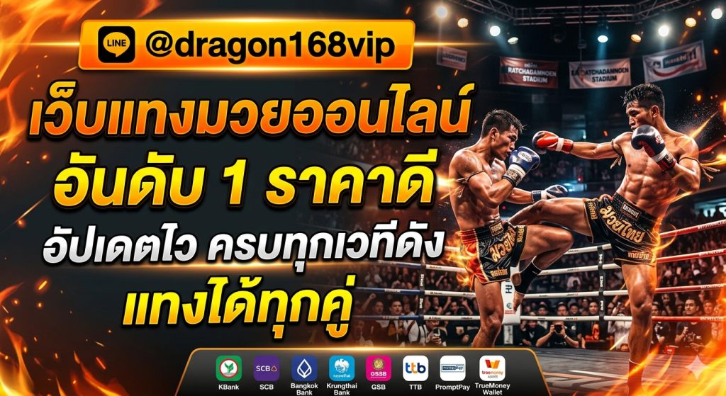 Muayone เว็บแทงมวยออนไลน์ครบวงจร อัปเดตโปรแกรมมวย ราคาต่อรอง และข้อมูลการแข่งขันจากเวทีดังตลอด 24 ชั่วโมง