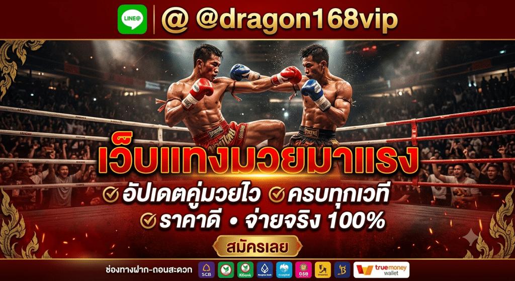 MuayOne เว็บแทงมวยออนไลน์ อัปเดตคู่มวยไว ราคามวยไหลดี ระบบเสถียร แทงง่ายผ่านมือถือ ลุ้นมันส์ทุกยก