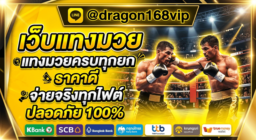 MUAYONE เว็บแทงมวยออนไลน์ รวมมวยไทย มวยสากล ราคามวยอัปเดตเรียลไทม์ แทงครบทุกยก ระบบเสถียร รองรับมือถือ